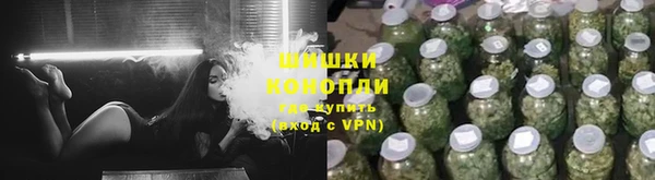 сатива Карпинск