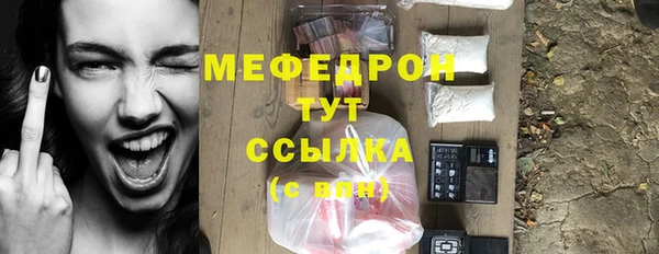 сатива Карпинск